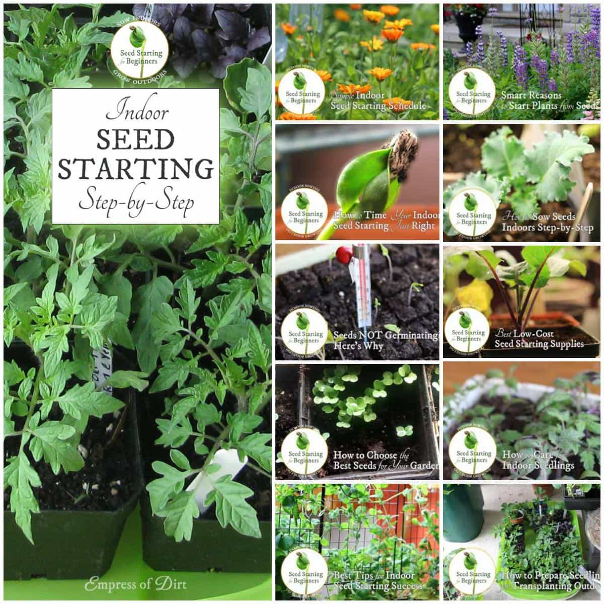 How to Sow Seeds Indoors StepbyStep Empress of Dirt