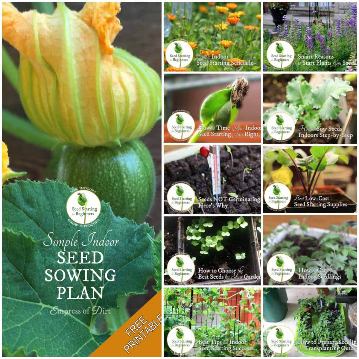 Straightforward Indoor Seed Starting off Method Empress of Grime graphic about Printable Seed Starting Chart called Easy Indoor Seed Starting up Software Empress of Grime