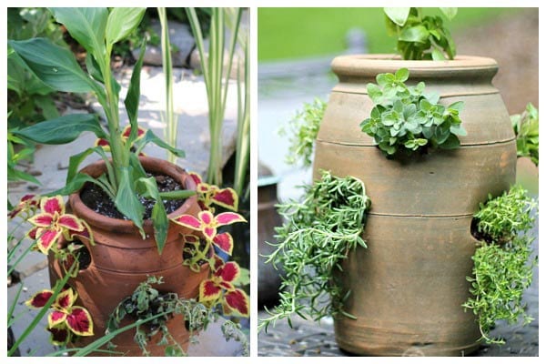 Strawberry Pots Are Not Just For Strawberries | Empress of Dirt