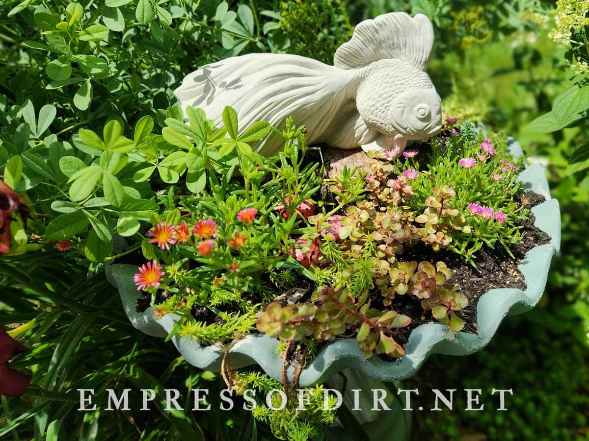 Old birdbath with plants and garden art fish