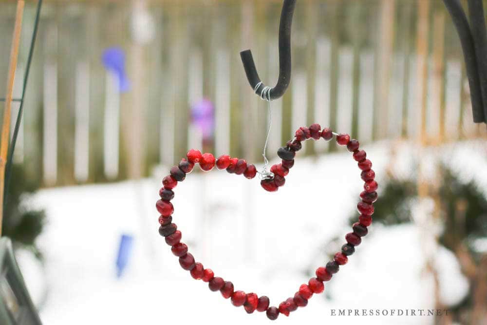 Heart-shaped cranberry bird treats