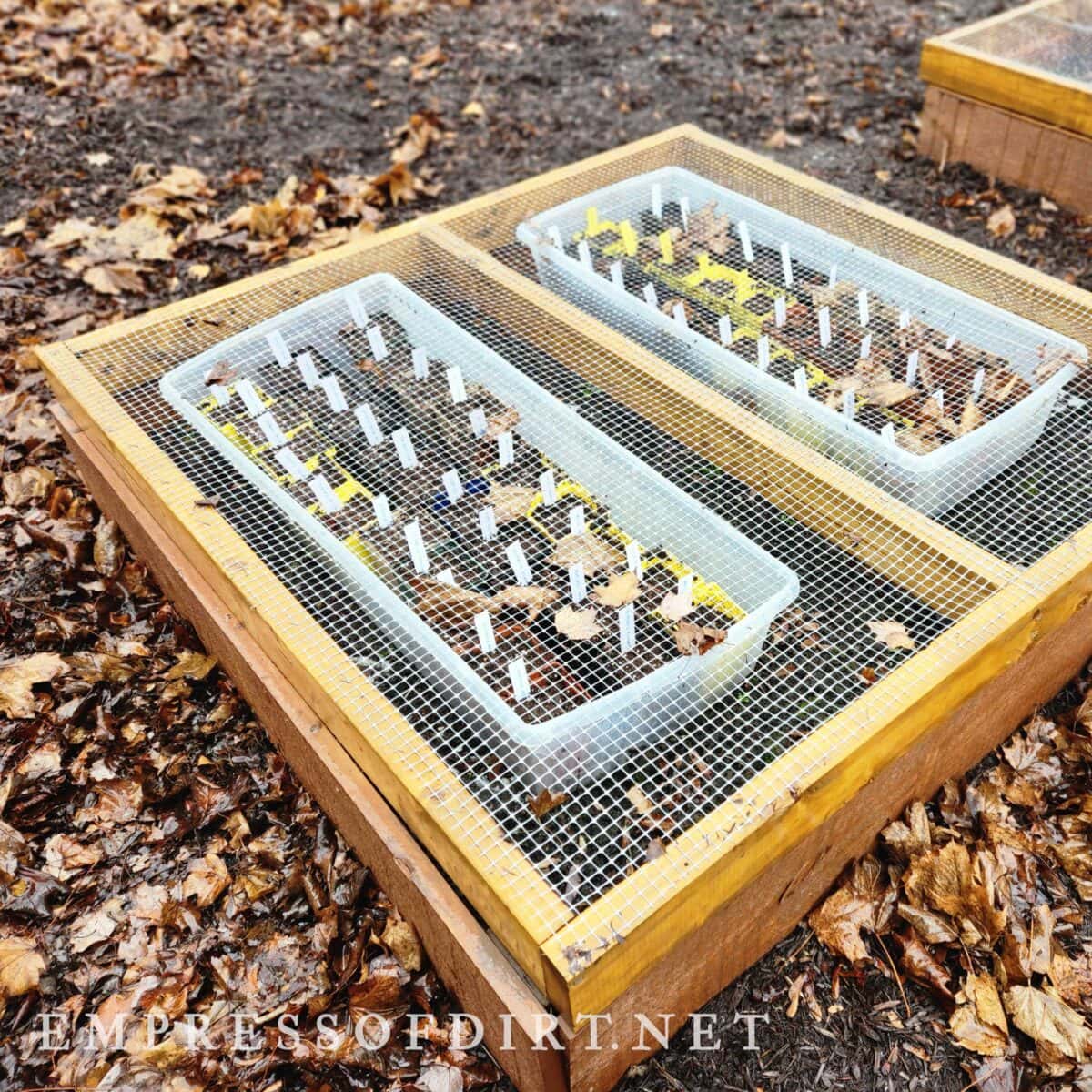 Open cold season containers during a winter that