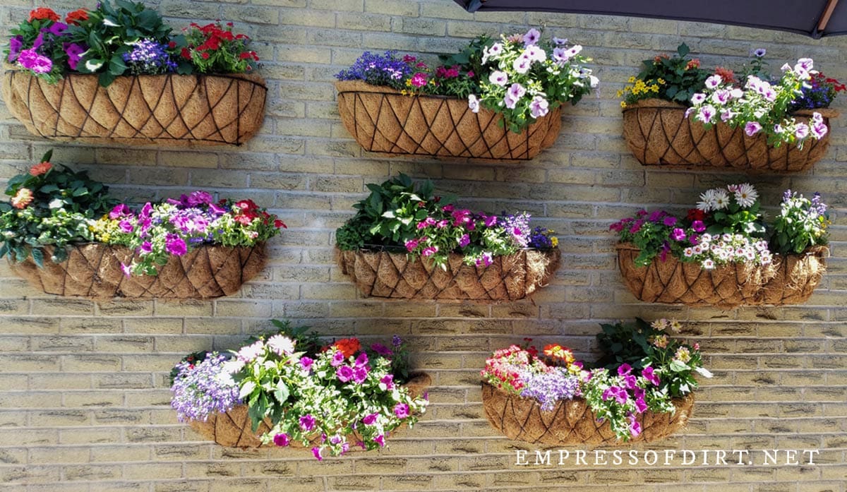 Eight hayracks planted with colorful perennials