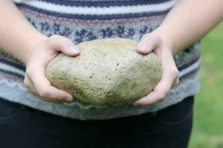 Creative Ways to Hand-Paint Rocks for Your Garden — Empress of Dirt