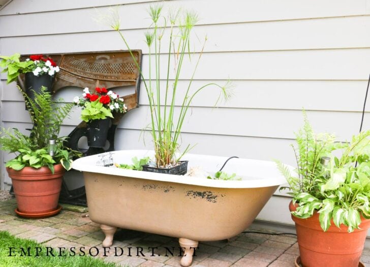 How to Make a Garden Pond in an Old Bathtub