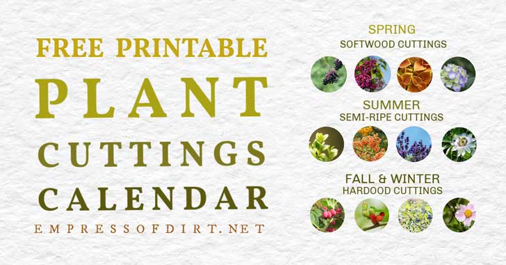 Calendario de propagación de esquejes de plantas de Seasoanl