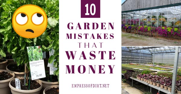 Garden mistakes that waste money.