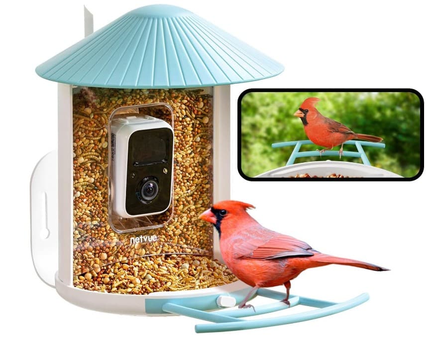 Netvue birdfy camera feeder