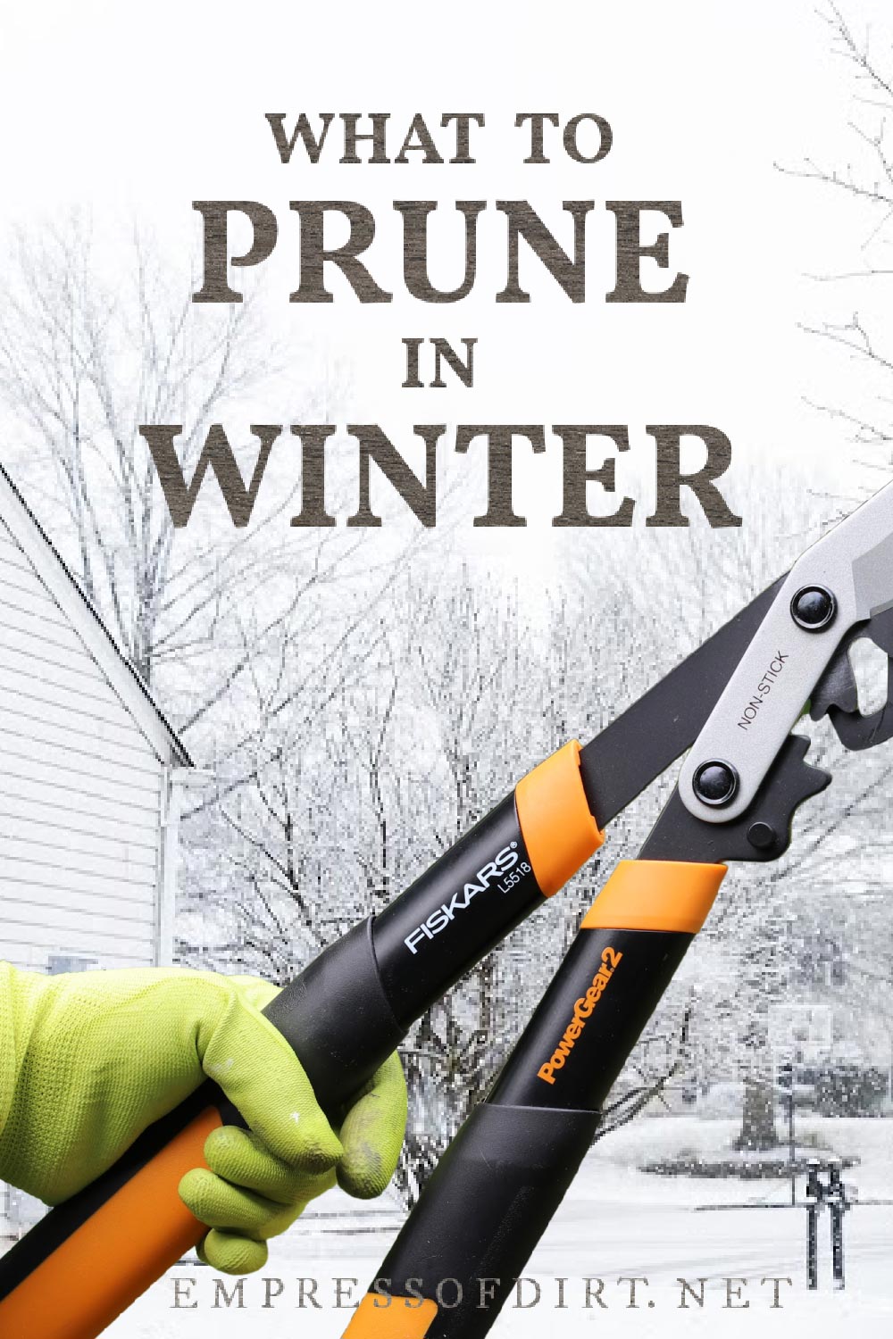 What to Prune in Winter (Trees, Shrubs, & Vines) — Empress of Dirt