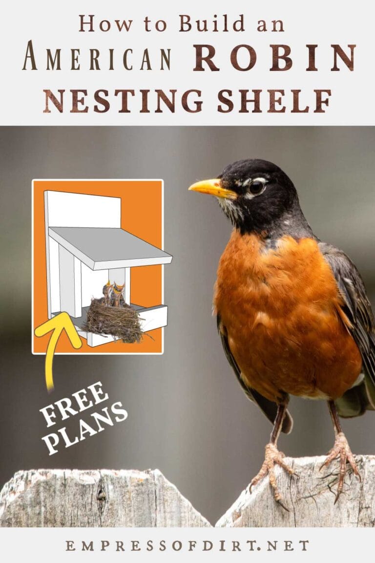 Make a Robin Nesting Shelf (Free Plans)