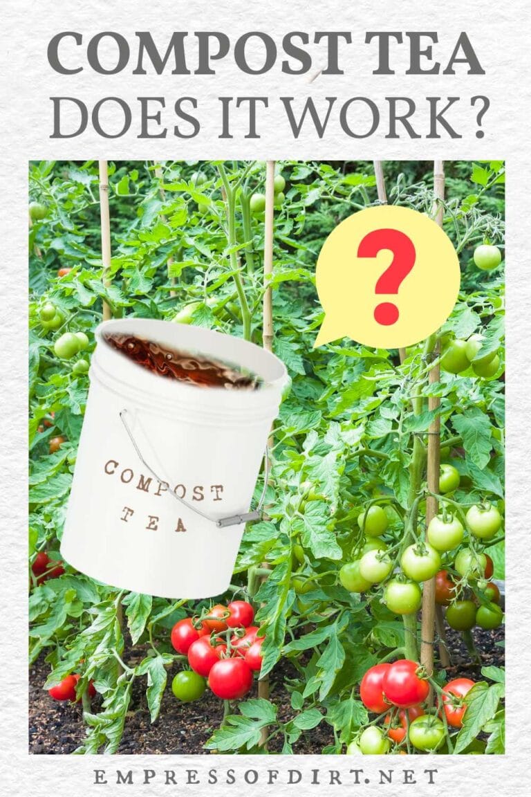 Compost Versus Compost Tea Which is Better? — Empress of Dirt