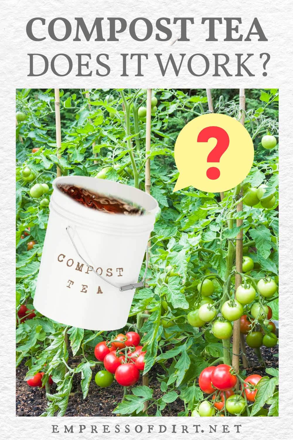 compost-versus-compost-tea-which-is-better-empress-of-dirt