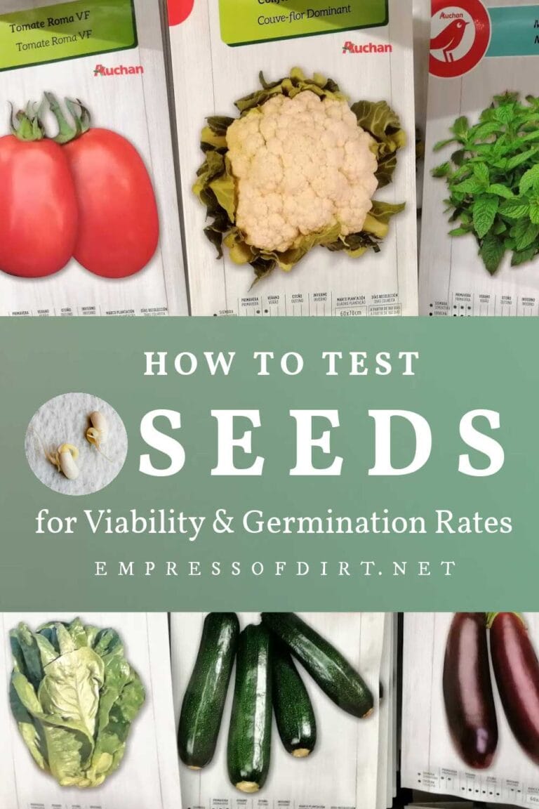 How To Check If Seeds Are Viable (Home Germination Test)