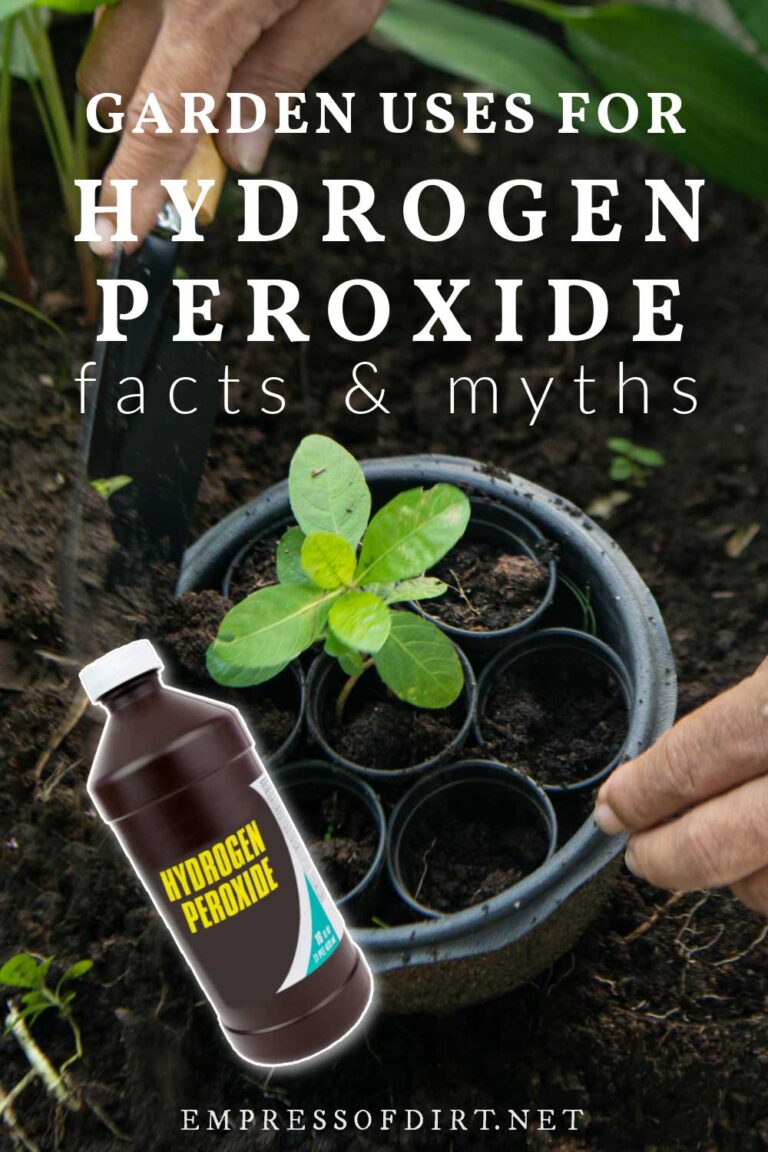 Hydrogen Peroxide For Gardening? Don't Waste Your Money