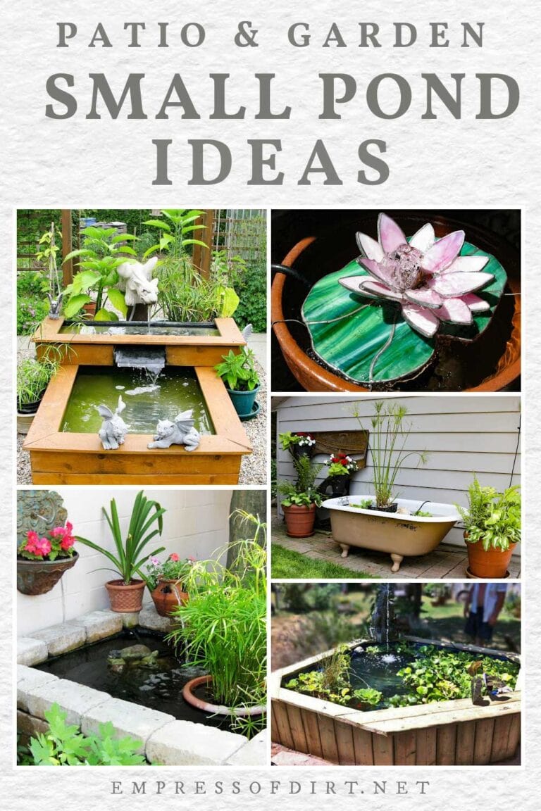 8 Charming Small Pond Ideas for Patios & Gardens