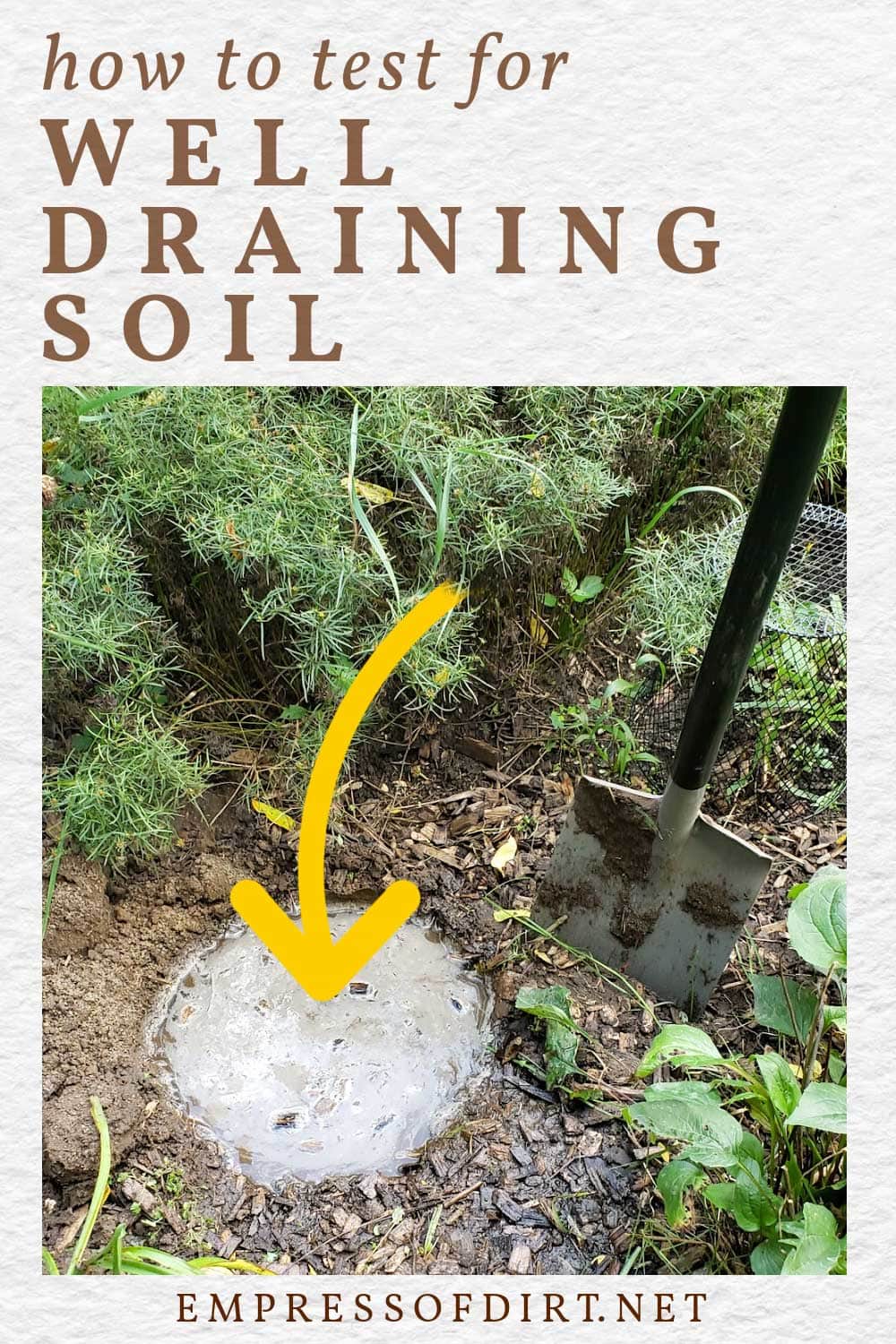Is Your Soil WellDraining? Use This Easy Test to Find Out