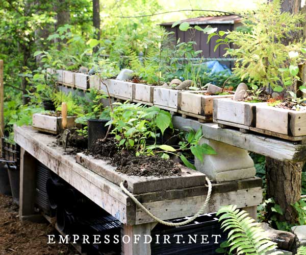 Large potting bench with shelf of potted plants.