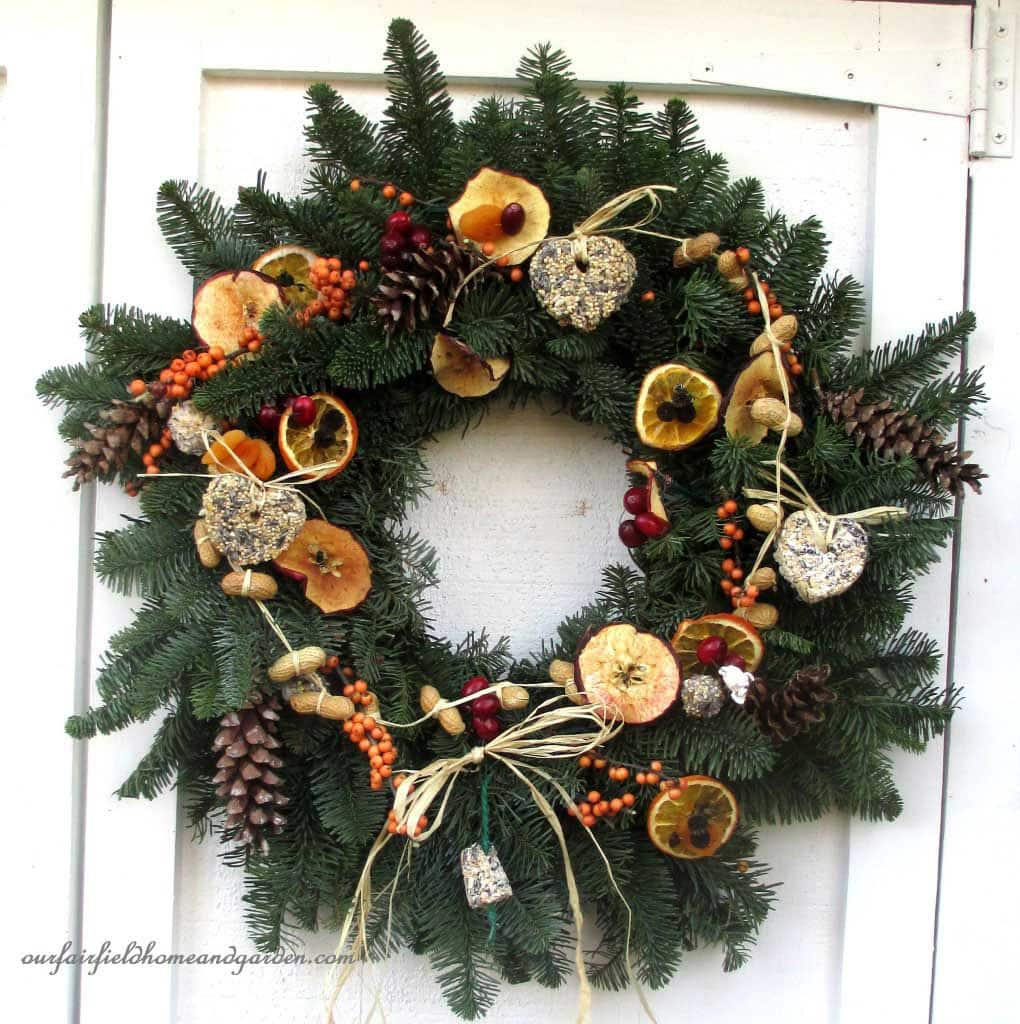 Winter wreath made from evergreens and dried fruit.