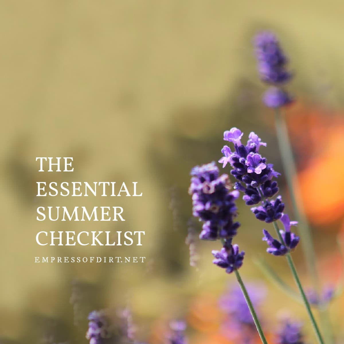 The essential summer checklist