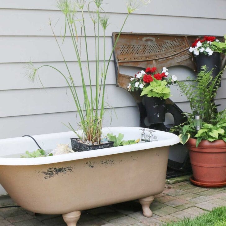 Make Archives Page 24 of 27 Empress of Dirt