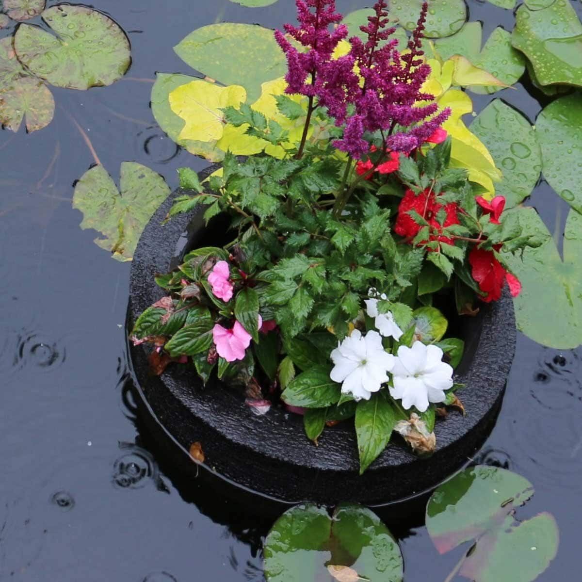 A floating pond planter with flowers in a garden pond.