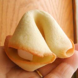 Fortune cookie.
