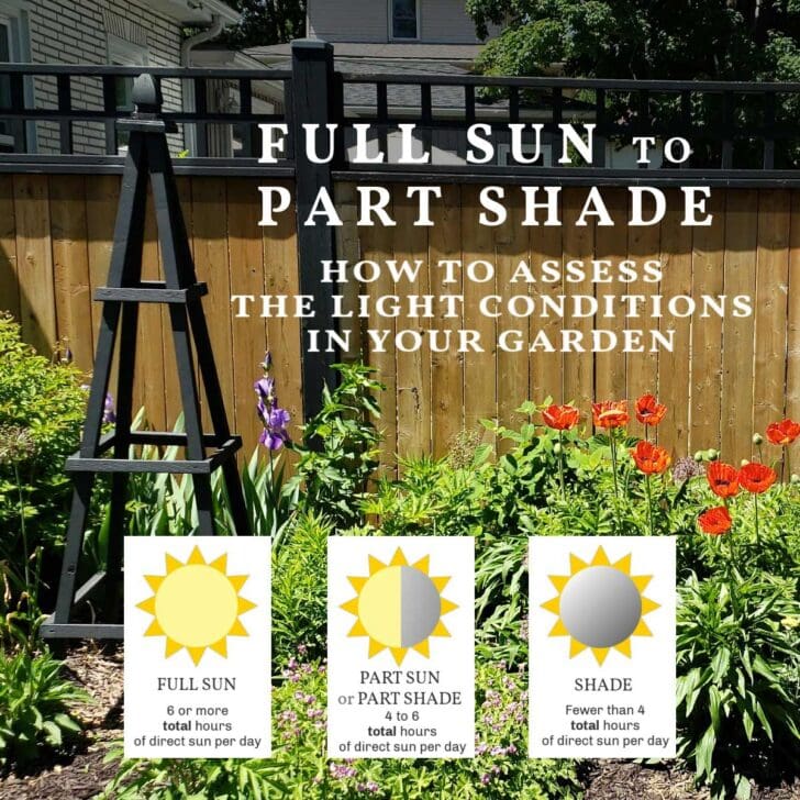 Empress of Dirt Creative and Frugal Home & Garden Ideas