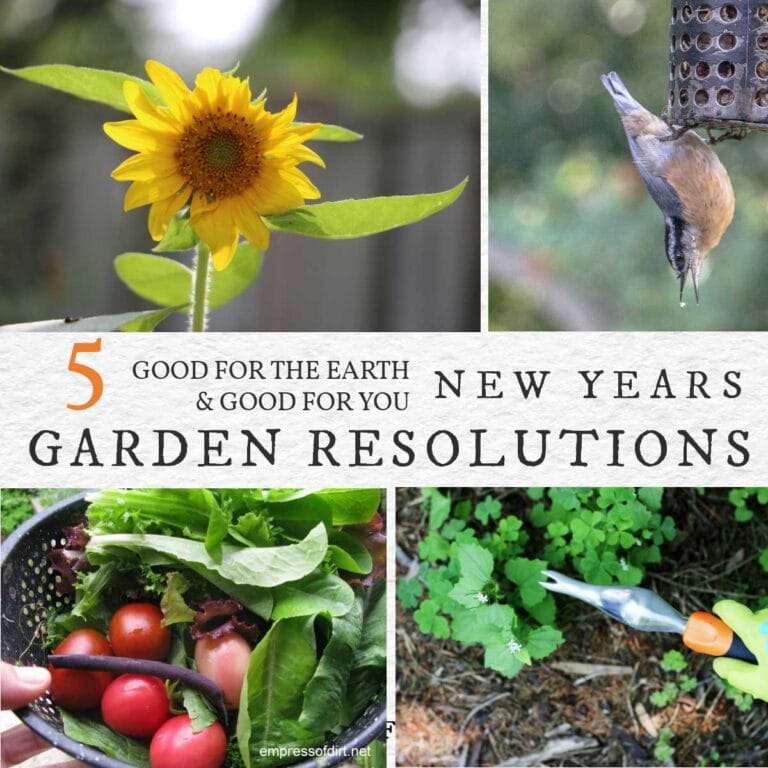 5 Good For The Earth (& You) Garden Resolutions (2022)