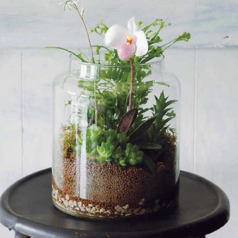 How to Make a Mini Wetland Terrarium With Moss & Ferns — Empress of Dirt