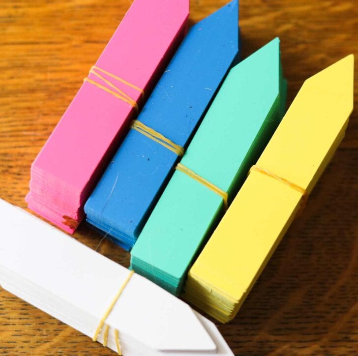 Simplify Your Houseplant Care with This Easy Tagging System