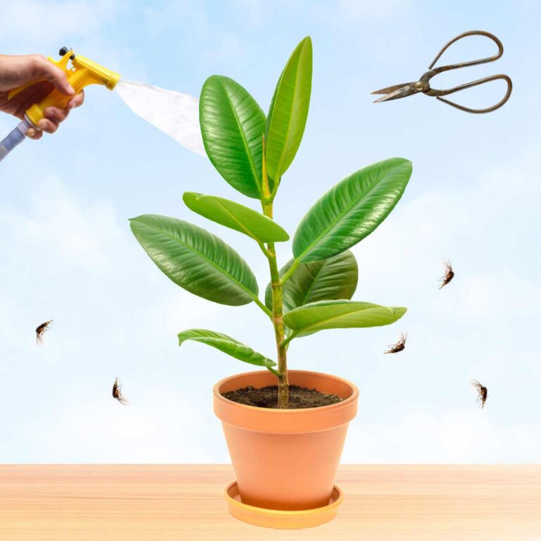 How & When to Bring Plants Inside Timing & Debugging Tips