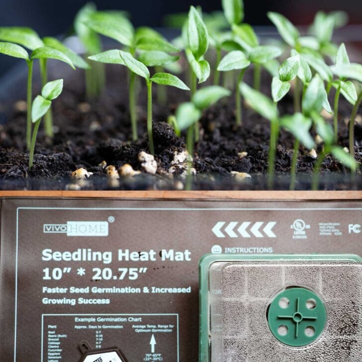 Empress of Dirt Page 15 of 94 Creative and Frugal Home & Garden Ideas