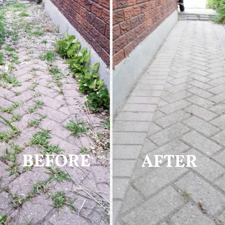 How to Remove Weeds Between Bricks (Without Herbicides) — Empress of Dirt