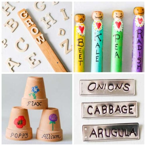 How To Make Plant Tags (Best Practical & Creative Options)